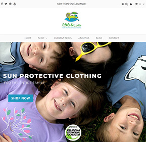 shopify ecommerce web site